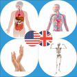 Programikonen: Body Parts Name and Pictu…