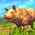 程序图标：Pig Strike Simulator Game…