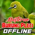 أيقونة البرنامج: Masteran Burung Pleci Off…