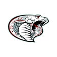Ícone do programa: Triton Public Schools