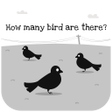 Ikon program: Count Bird  Box: Brain Tr…