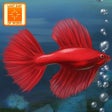Icon of program: Fish Tycoon Lite