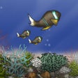 أيقونة البرنامج: Fish Tycoon Lite