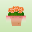 Programikonen: Leaf Sense: Plant Care