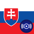 程序图标：SK Radio - Slovak radios