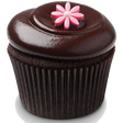 プログラムのアイコン：Cupcakes Recipes !