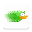 Programikonen: Roaming Duck
