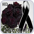 Icon of program: Lazos de Luto