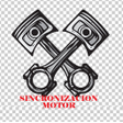 أيقونة البرنامج: Sincronización Motor