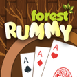 程序图标：Forest Rummy