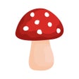 Иконка программы: Shroomify - Mushroom ID U…