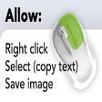 Enable right click - allow copy & select