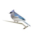 أيقونة البرنامج: BirdNET