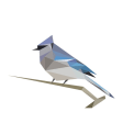 Icône du programme : BirdNET