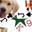 ไอคอนของโปรแกรม: K9 Euchre: Trick Card Gam…
