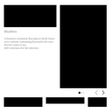 Programikonen: Blackbox