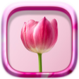 Programikonen: Picture Puzzle: Flowers