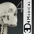 Essential Skeleton 4