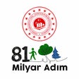 Programikonen: 81 Milyar Adım