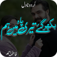 Иконка программы: Bikhar Gaye Teri Chah Mei…