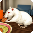 Programikonen: Mouse Simulator : Virtual…