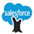Icon of program: Salesforce Log Execution …
