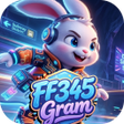 Programikon: FF345Gram