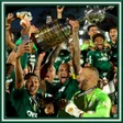程序图标：Soccer Alviverde of Brazi…