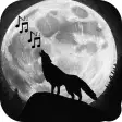 Wolf Sounds - Wolf Howls