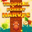 رمز البرنامج: Tropical Forest Harvest
