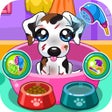 Icon of program: Caring for puppy salon ga…