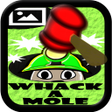 プログラムのアイコン：Whack a Mole