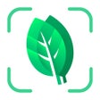프로그램 아이콘: Plant identification - Pl…