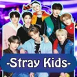 أيقونة البرنامج: Stray Kids Songs Offline