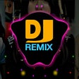 程序图标：DJ Runtah Biwir Berem Ber…