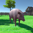 أيقونة البرنامج: Pig Simulator