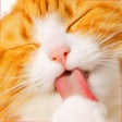Иконка программы: Cute Kitten Cat Jigsaw Pu…