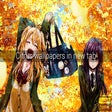 Programikonen: Citrus Wallpapers New Tab