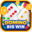 Programikonen: Domino Big Win