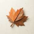 Programın simgesi: Puzzle Shape Motion
