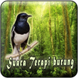 プログラムのアイコン：Terapi Burung MP3 Offline