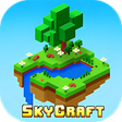 程序图标：SkyCraft