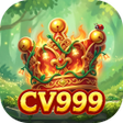 Icoon van programma: CV999Biv Soren