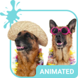 Programikonen: Holiday Animated Keyboard…