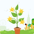 Programikonen: Focus World - Study Timer