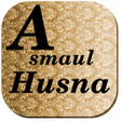 Icon of program: Names of Allah