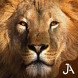 Icône du programme : Safari: Evolution