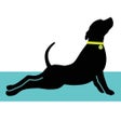 Icon of program: Updog Tulsa NEW
