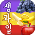 Programikonen: 생과일퀴즈