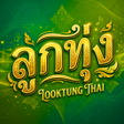 Icon of program: ฟงเพลงลกทงเพราะๆ